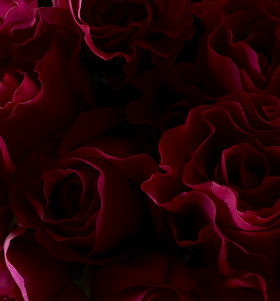 Jean-Charles RECHT - Photographe Textures et Matières - PARIS - PHOTO