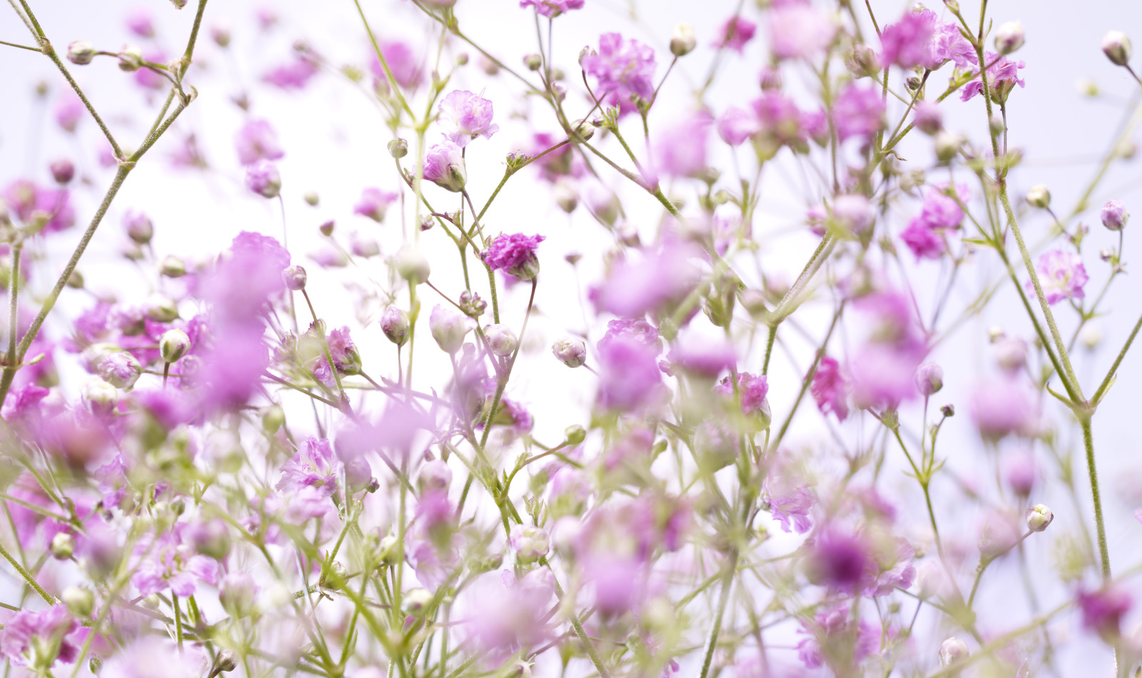 Jean-Charles RECHT - Photographe Textures et Matières - CACHAREL