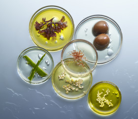 Jean-Charles Recht - Photographe Texture et Matière - PARIS