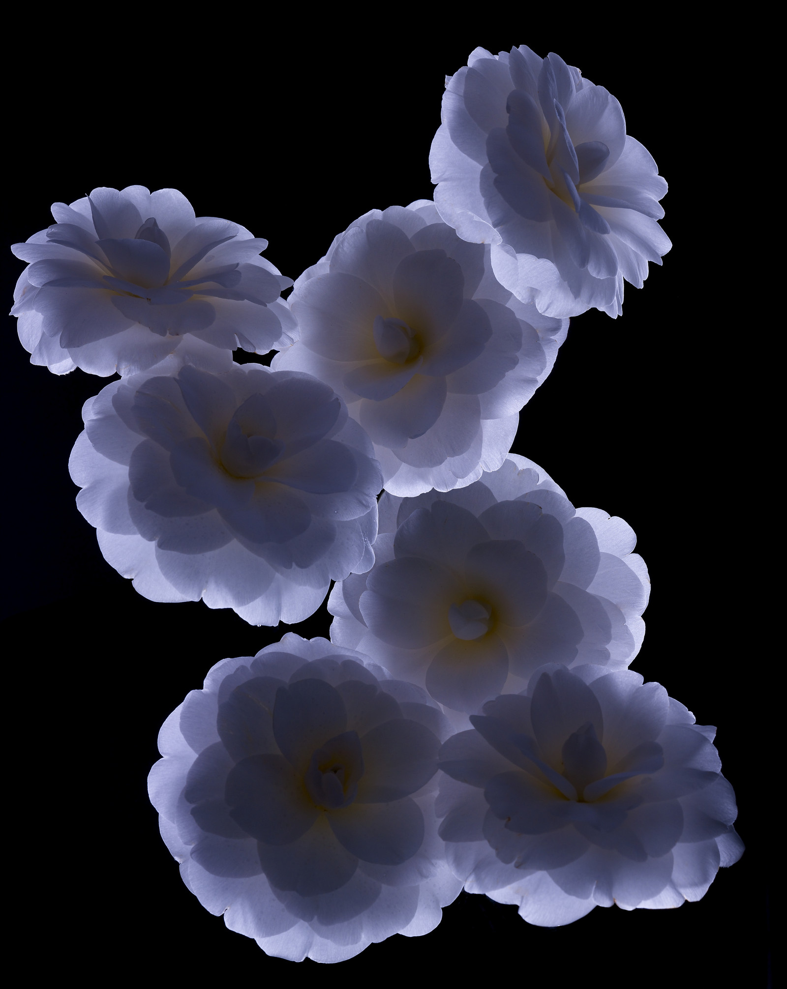 Jean-Charles RECHT - Photographe Textures et Matières - PARIS