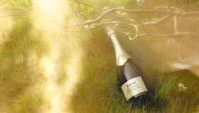 Jean-Charles RECHT - Photographe Champagne, Bière et Spiritueux - PARIS - CAMPAGNE KRUG