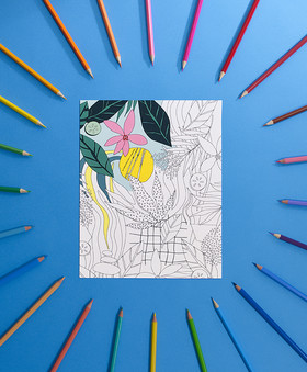 Jean-Charles RECHT - Photographe Cosmétique  - PARIS - Campagne - CLARINS