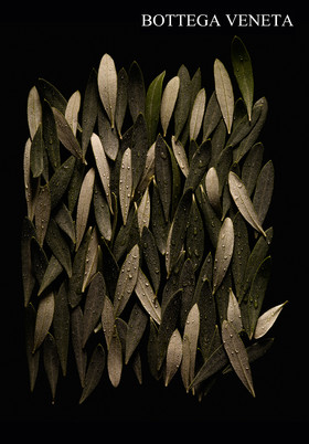 Jean-Charles RECHT - Photographe Textures et Matières - PARIS - BOTTEGA VENETA