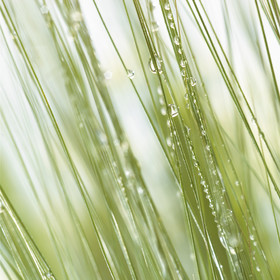 Jean-Charles RECHT - Photographe Textures et Matières - PARIS - YVES ROCHER