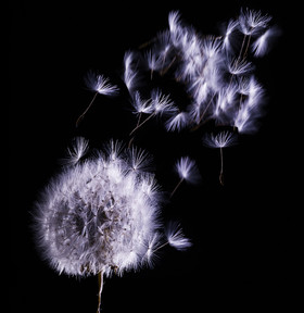 Jean-Charles RECHT - Photographe Textures et Matières - PARIS - PHOTO