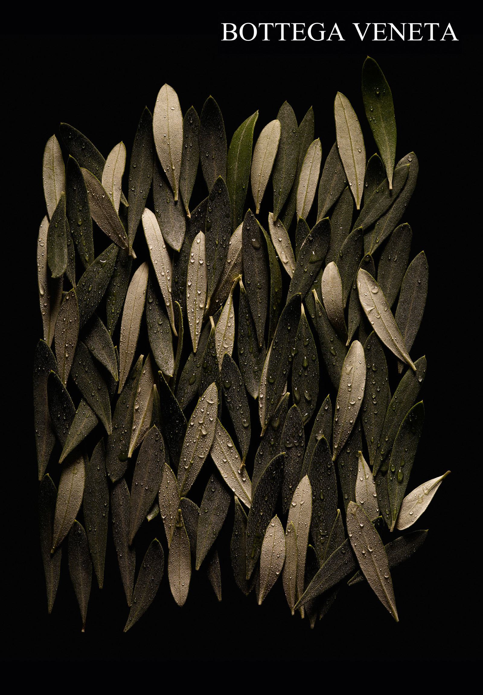 Jean-Charles RECHT - Photographe Textures et Matières - PARIS - BOTTEGA VENETA