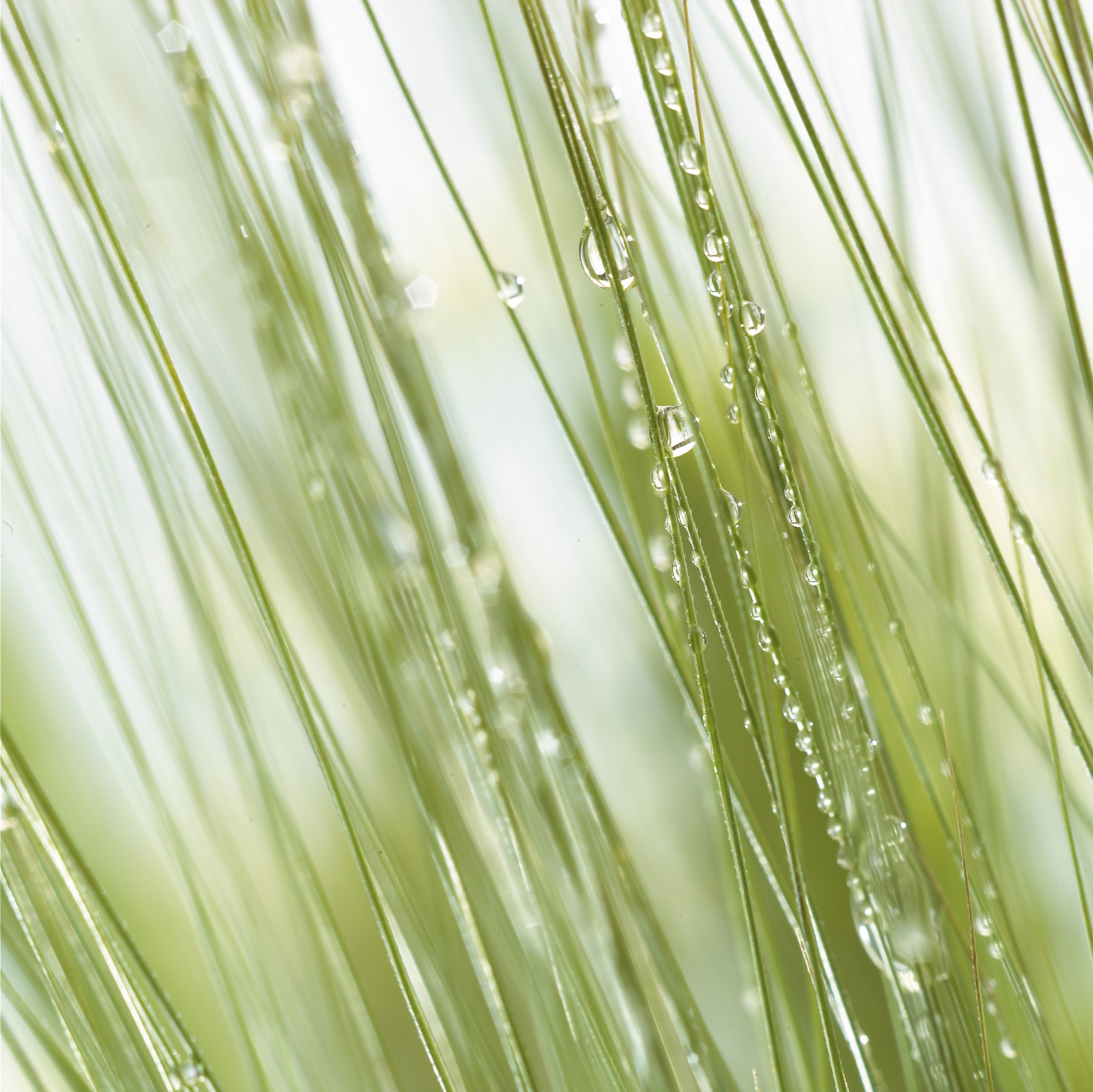 Jean-Charles RECHT - Photographe Textures et Matières - PARIS - YVES ROCHER