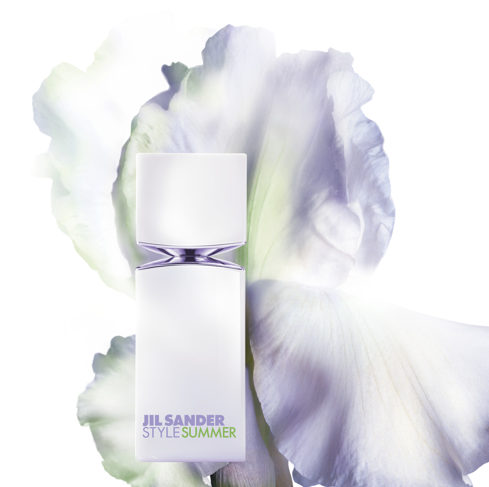 Iris 'Frost & Flame'