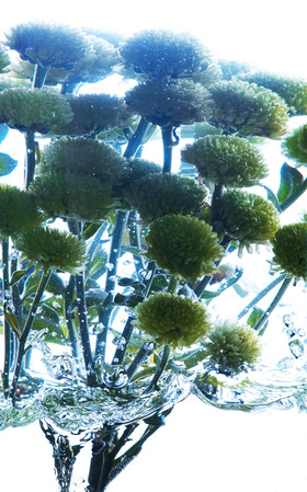 Jean-Charles RECHT - Photographe Textures et Matières - PARIS - PHOTO