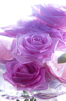 Jean-Charles RECHT - Photographe Textures et Matières - PARIS