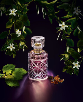Jean-Charles RECHT - Photographe Parfum - PARIS - CAMPAGNE - ROBERTO CAVALI