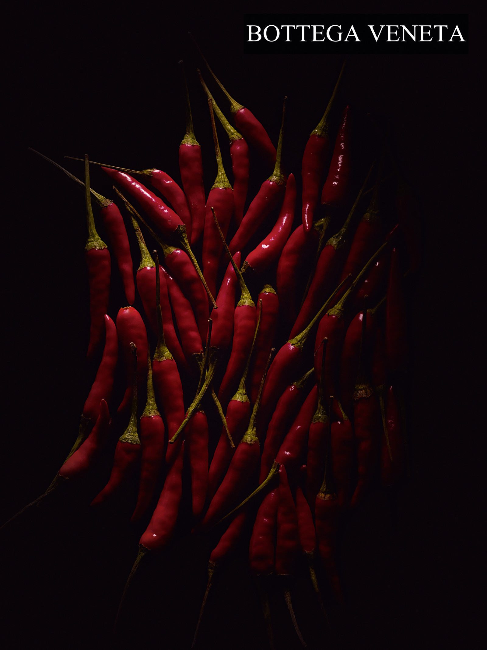 Jean-Charles RECHT - Photographe Textures et Matières - PARIS - BOTTEGA VENETA