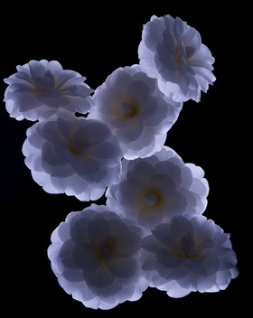 Jean-Charles RECHT - Photographe Textures et Matières - PARIS