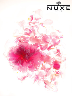 Jean-Charles RECHT - Photographe Textures et Matières - PARIS - NUXE