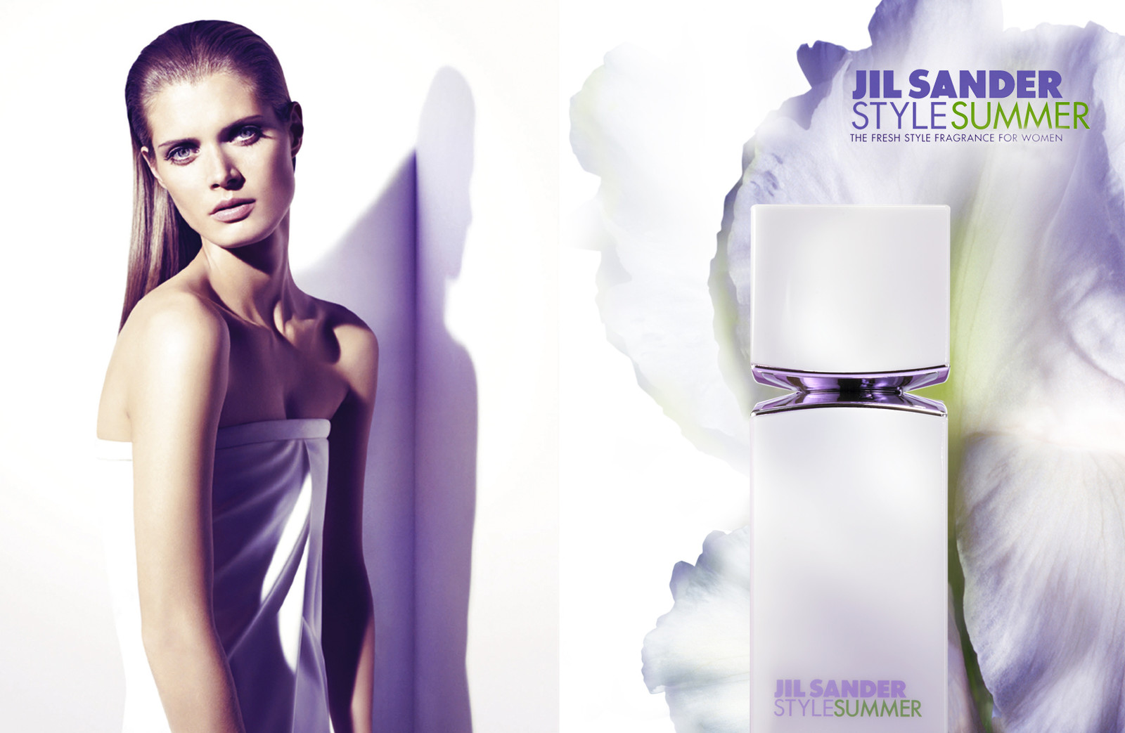 Iris 'Frost & Flame'