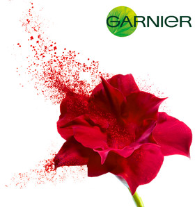 Jean-Charles RECHT - Photographe Textures et Matières - PARIS - GARNIER